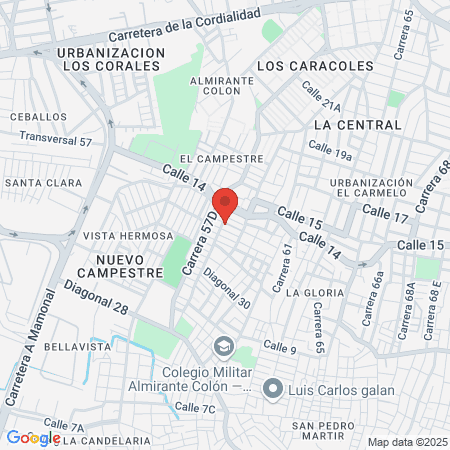 Gimnasio Vida Sana map