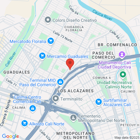 Nueva Imagen Leidy map