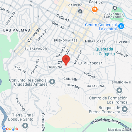 San Rafael Hospital Venice map