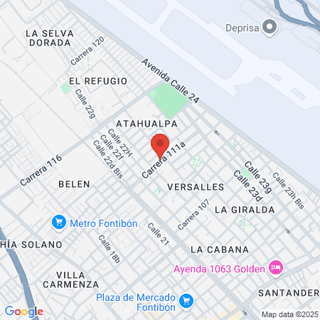 Global Obesity Group map