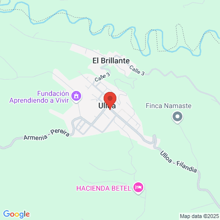 Urgencias Hospital La Buena Esperanza map