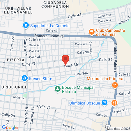 Centro De Salud San Pedro map