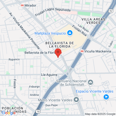 Salón Pilarl Rivas map