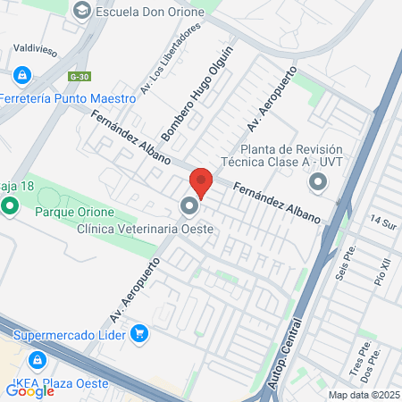 Erika Noguera Brow&Lash Artist SpA map