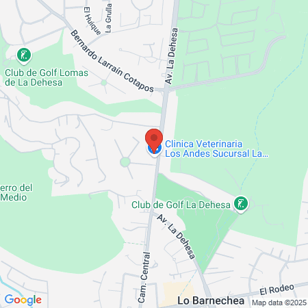 MUSA Spa Beauty Nails & Hair map