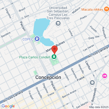 Clínica Vidadent Lota map