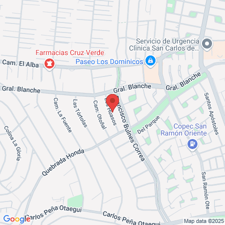 Odontologia Paula Francisca Del Valle Lorca E.I.R.L. map