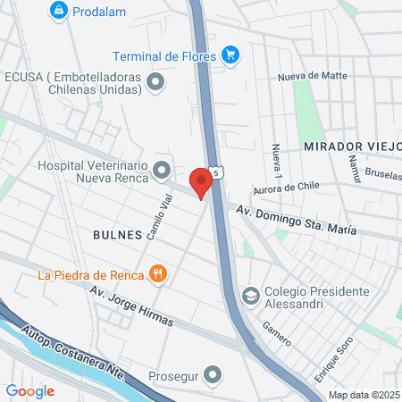 Centro Medico Dental Odomed map