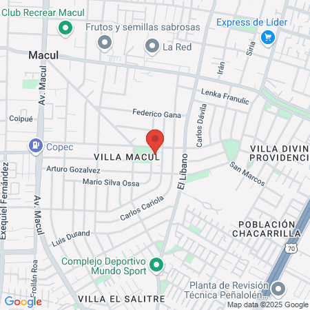 Consulta Dental Riquelme 16 map