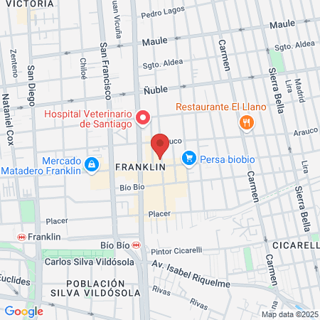 Santiago Butorovic y Asociados Profesion map