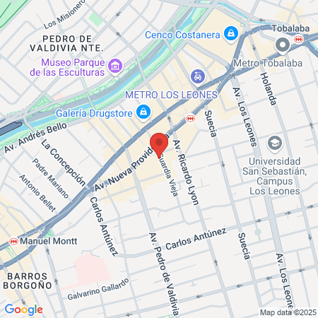 Instituto de Odontologia Padre Letelier map