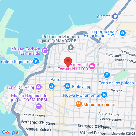 Patricia Cuevas Rebolledo map