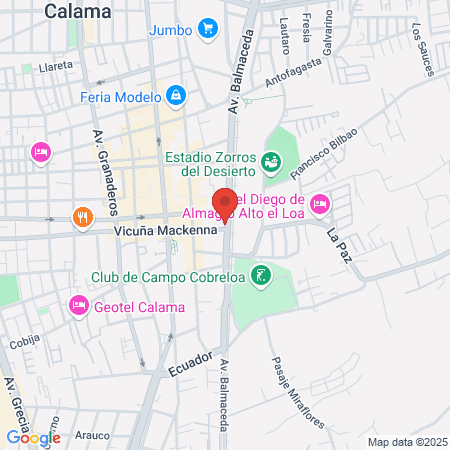 Soc de Profesionales Alcota y Seguel map