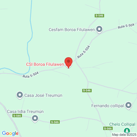 Posta Rural Manhue, DSM Loncoche map