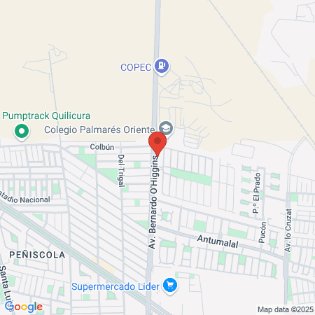 Alejandro Ignacio Bobenrieth Miserda map