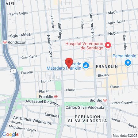 Ruth Yolanda Ibanez Carrasco map