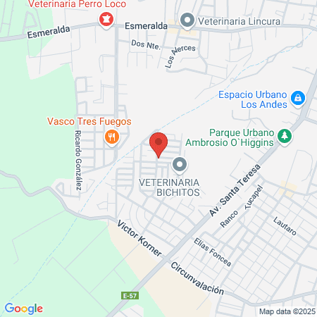 Centro Comunitario de Salud Familiar Juan Pablo Segundo map