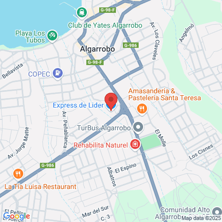 Claudia Yáñez García, Fonoaudiólogo map