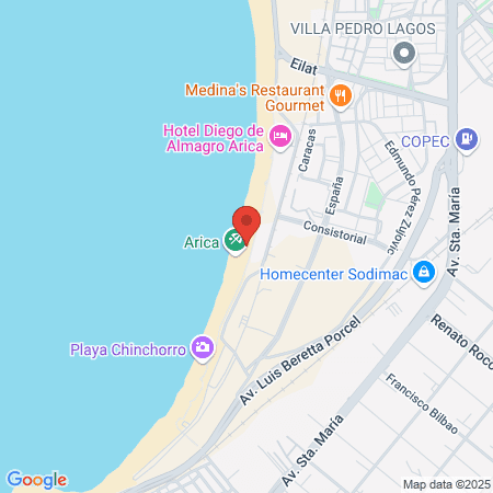 Arica Takedown Team - MMA map