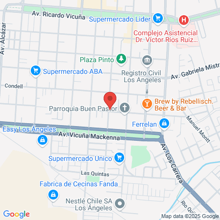 Gimnasio Juan Silva map