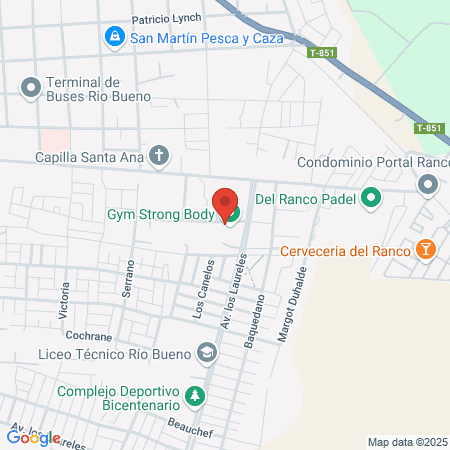 Gimnasio Hermanos Salvadores Salvi map