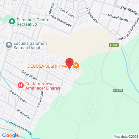 Multicancha 17, Linares map