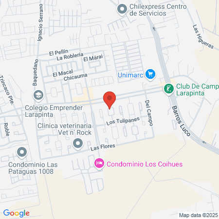 ATA BEKHO Ñuñoa Irarrazaval map