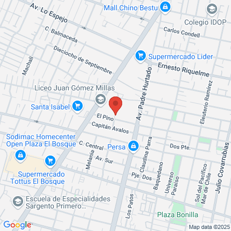 Gimnasio Juan Gomez Millas map