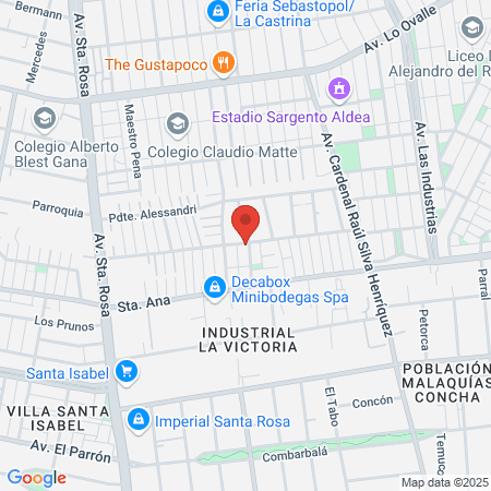 Entrenamiento Y Mentorias Capacitaciones Limitada map