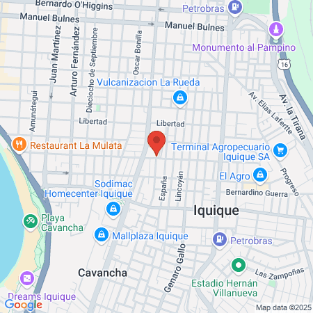 Canchas Carlos Ahumada map