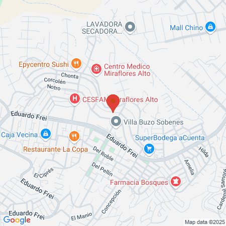 Polideportivo Codelco Andina map