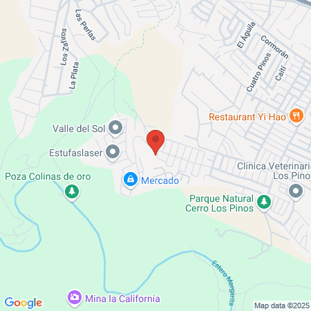 Gimnasio Arrayán map