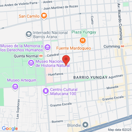 Saloon Masculino David map