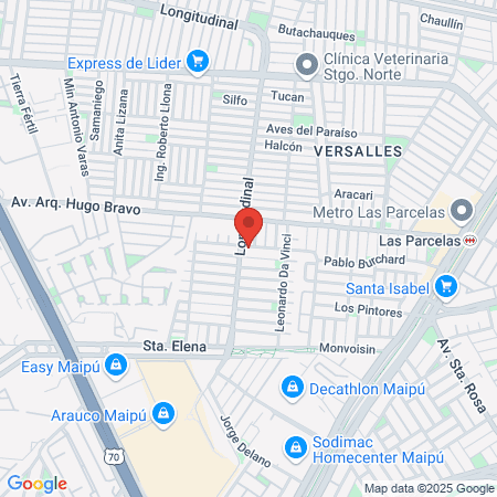 Hector Hugo Guzman Yevenes map