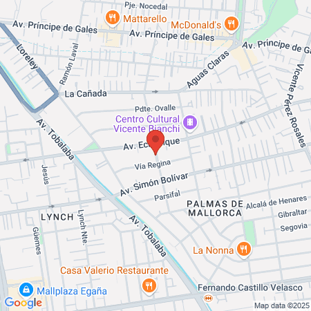 Arte estilo belleza map