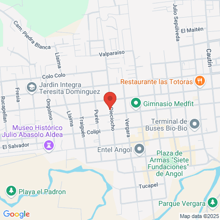 Recursos fisicos ssan map