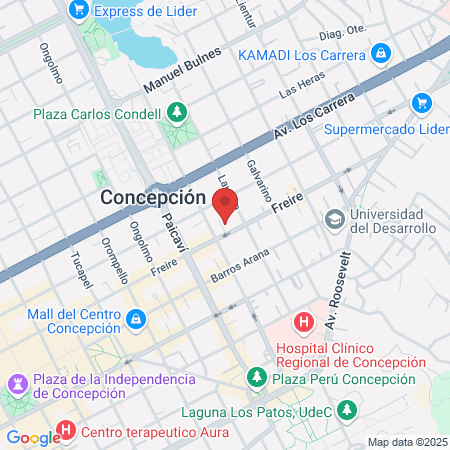 CONIN CONCEPCION map