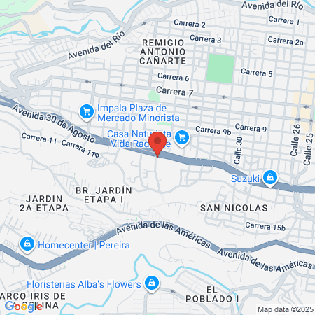 E S E Hospital San Vicente De Paul map