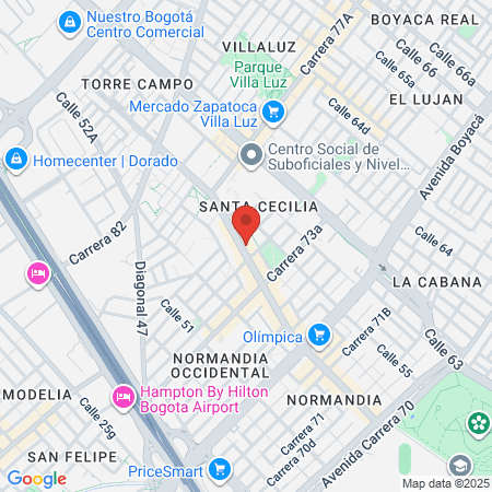 Clinica Veterinaria Guau Dog Store 24 Horas map