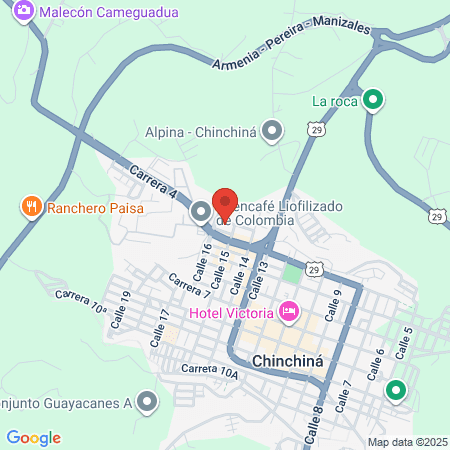 Mi Ips Chinchina map