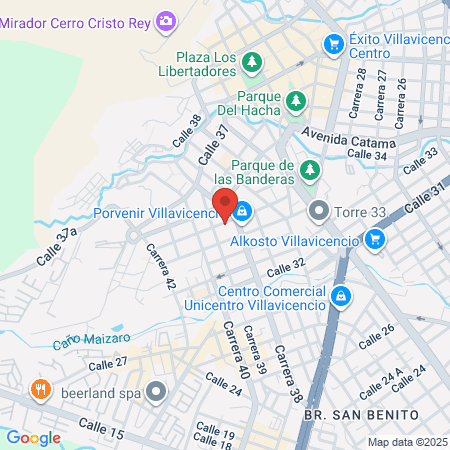 Neuroelectrodiagnostico map
