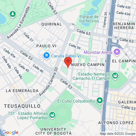 Dra Carolina Ruget Fonoaudiólogo map