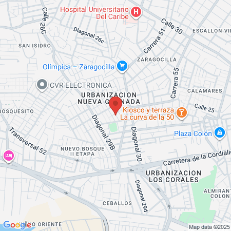 Puesto De Salud Nuevo Bosque map