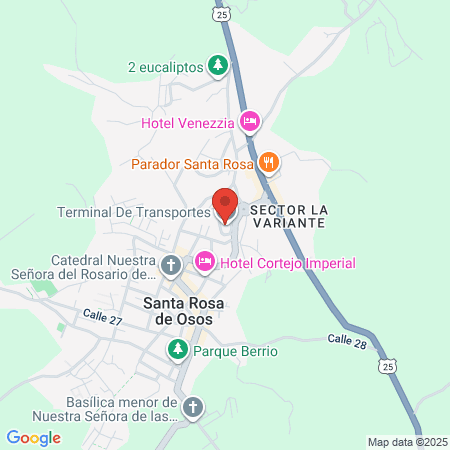 Ser Y Salud Plus Sas map