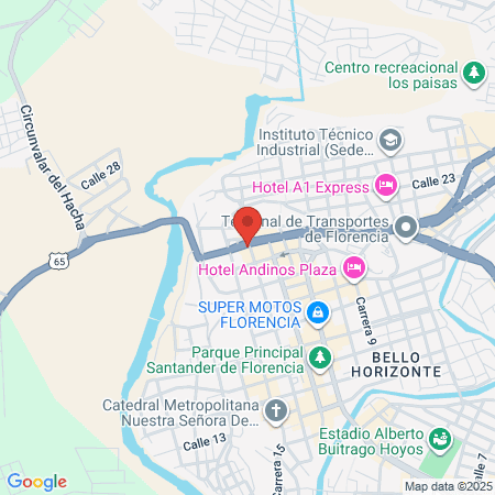 Centro Veterinario Mundo Animal map