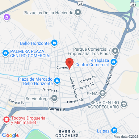 Pet Salud Servicios Veterinarios map