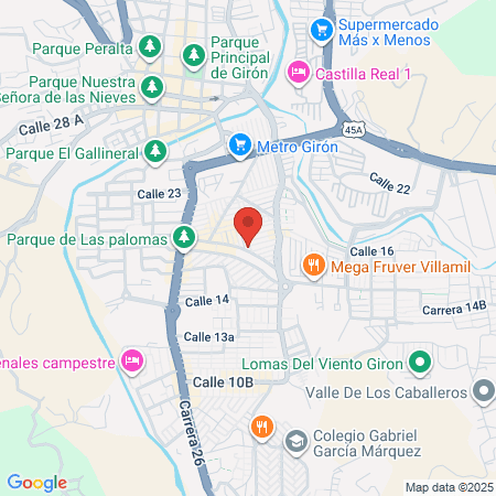 Clinica Veterinaria Animal World map