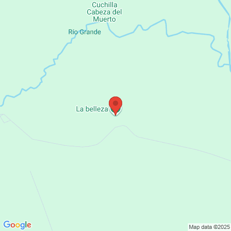 Sala De Belleza Sara Stylo map