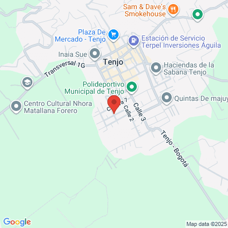 Fonoaudiologiaen Tenjo map