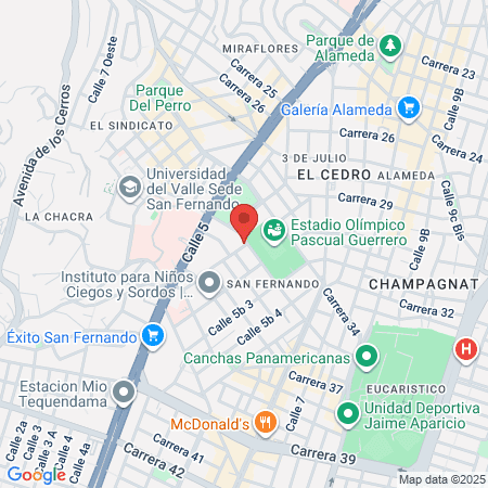 Performance 4 Professional map